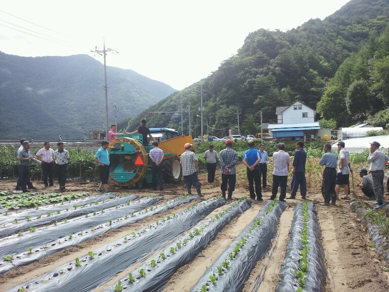 [감자수확기] 신기종감자수확기 시연 (평창)